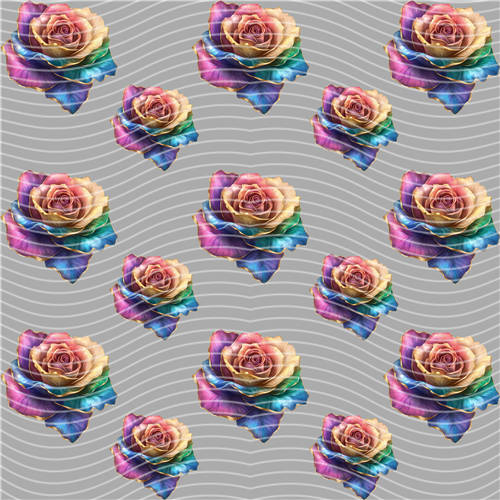 holographic Big- 1503